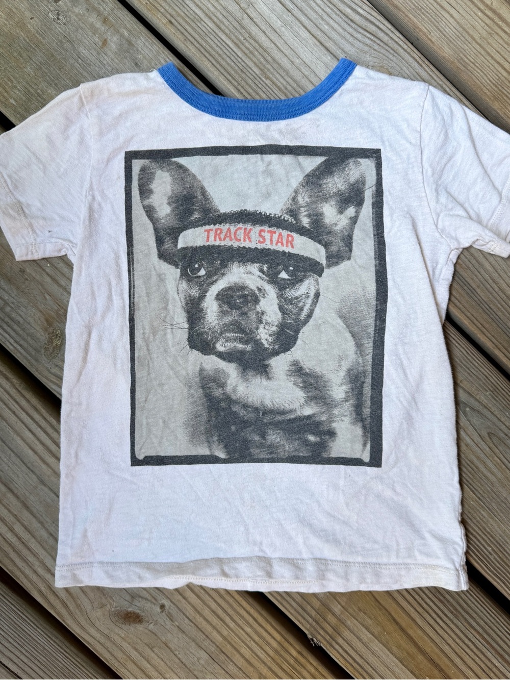 Crewcuts J.Crew French Bulldog Track Star Ringer Tee Shirt Kids Size 6 7 S